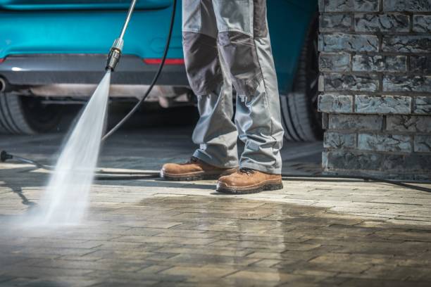 Best House Exterior Washing  in Lake Dalecarlia, IN