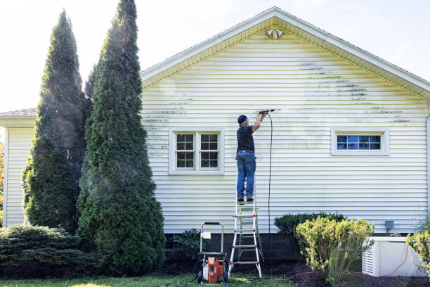 Best Building Exterior Washing  in Lake Dalecarlia, IN